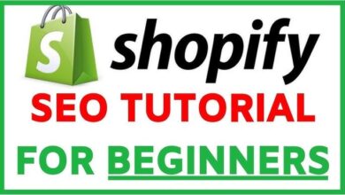 Shopify Seo Guide A Beginner to Generating Store Traffic